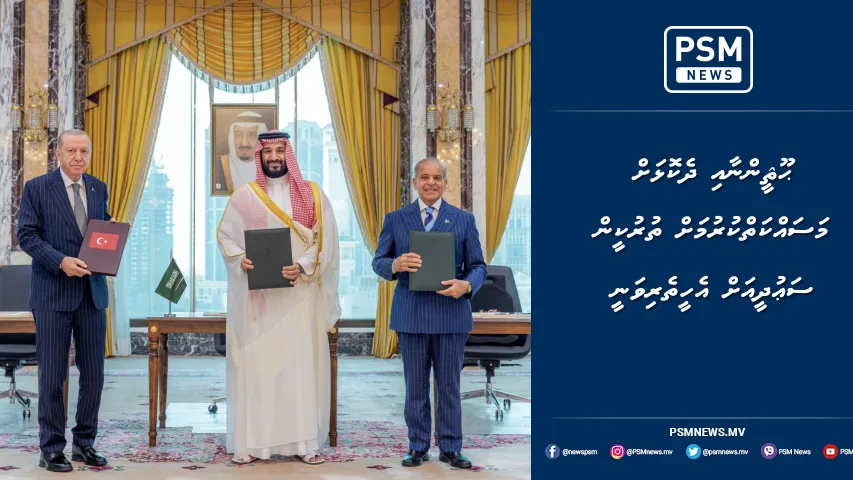 ޙޫޘީންނާއި ދެކޮޅަށް މަސައްކަތްކުރުމަށް ތުރުކީން ސަޢުދީއަށް އެހީތެރިވަނީ